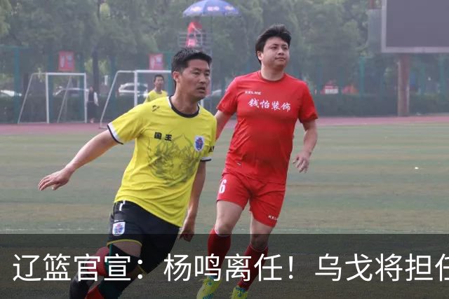 辽篮官宣：杨鸣离任！乌戈将担任辽宁男篮主帅